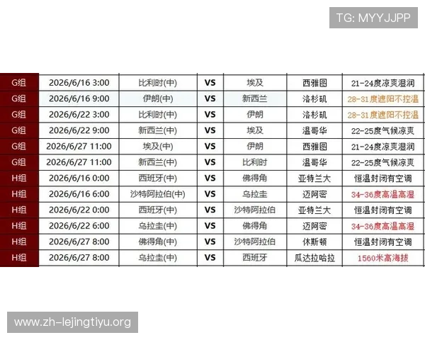 世界杯埃及伊朗比赛场地详细介绍及比赛场馆的最新信息分析